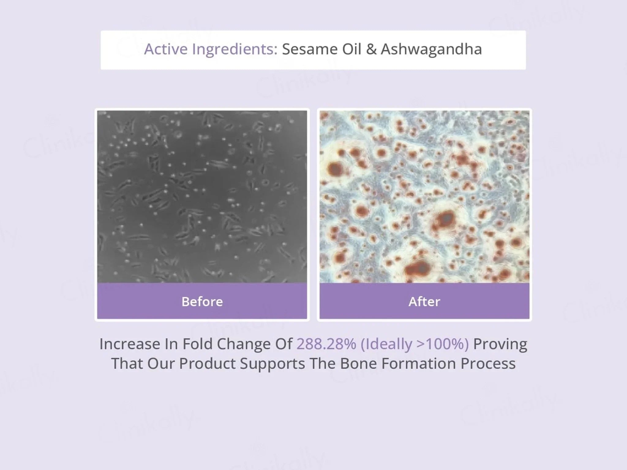 Areoveda Baby Massage Oil - Atomic Pharmacy