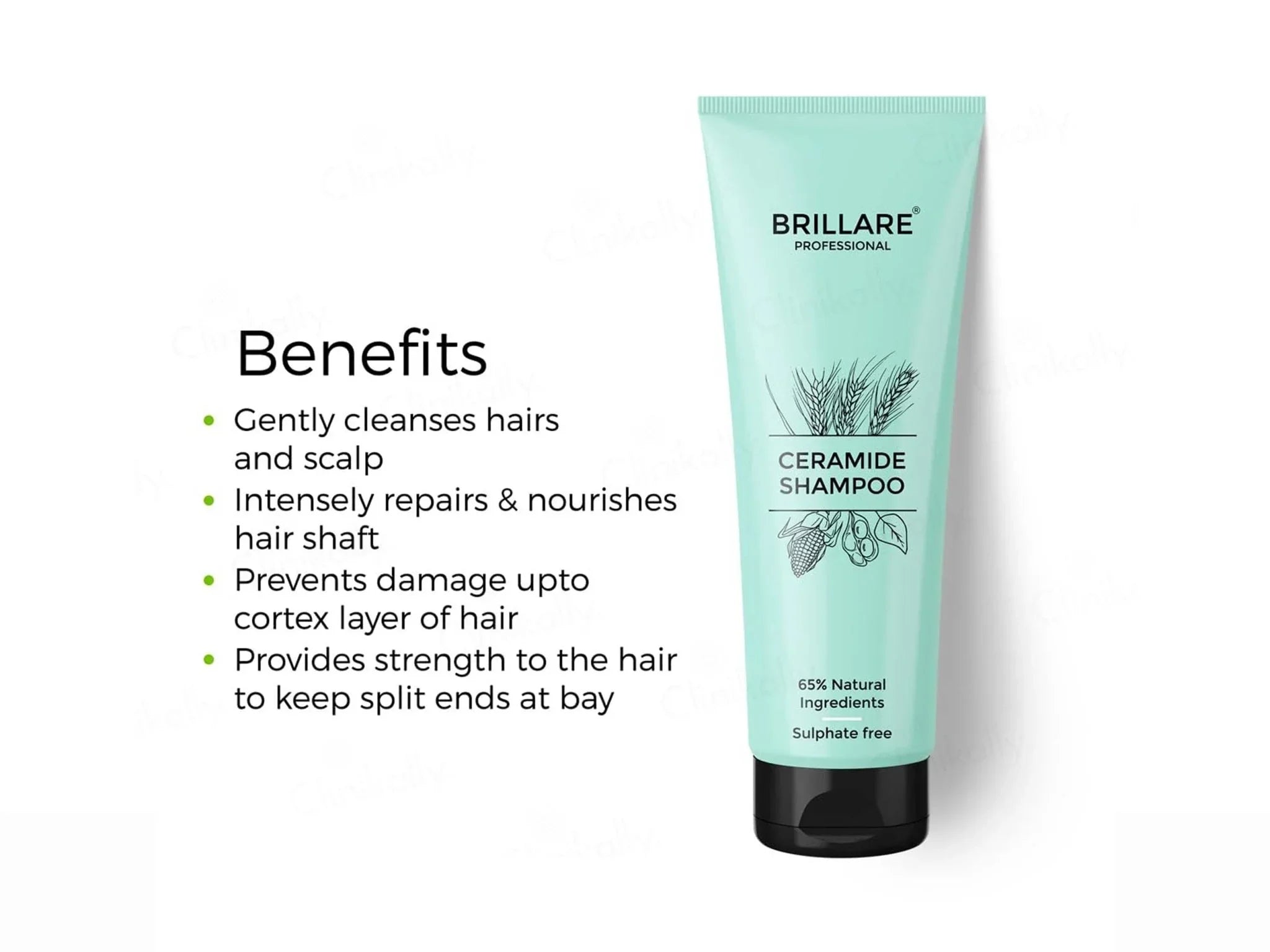 Brillare Ceramide Hair Shampoo - Atomic Pharmacy