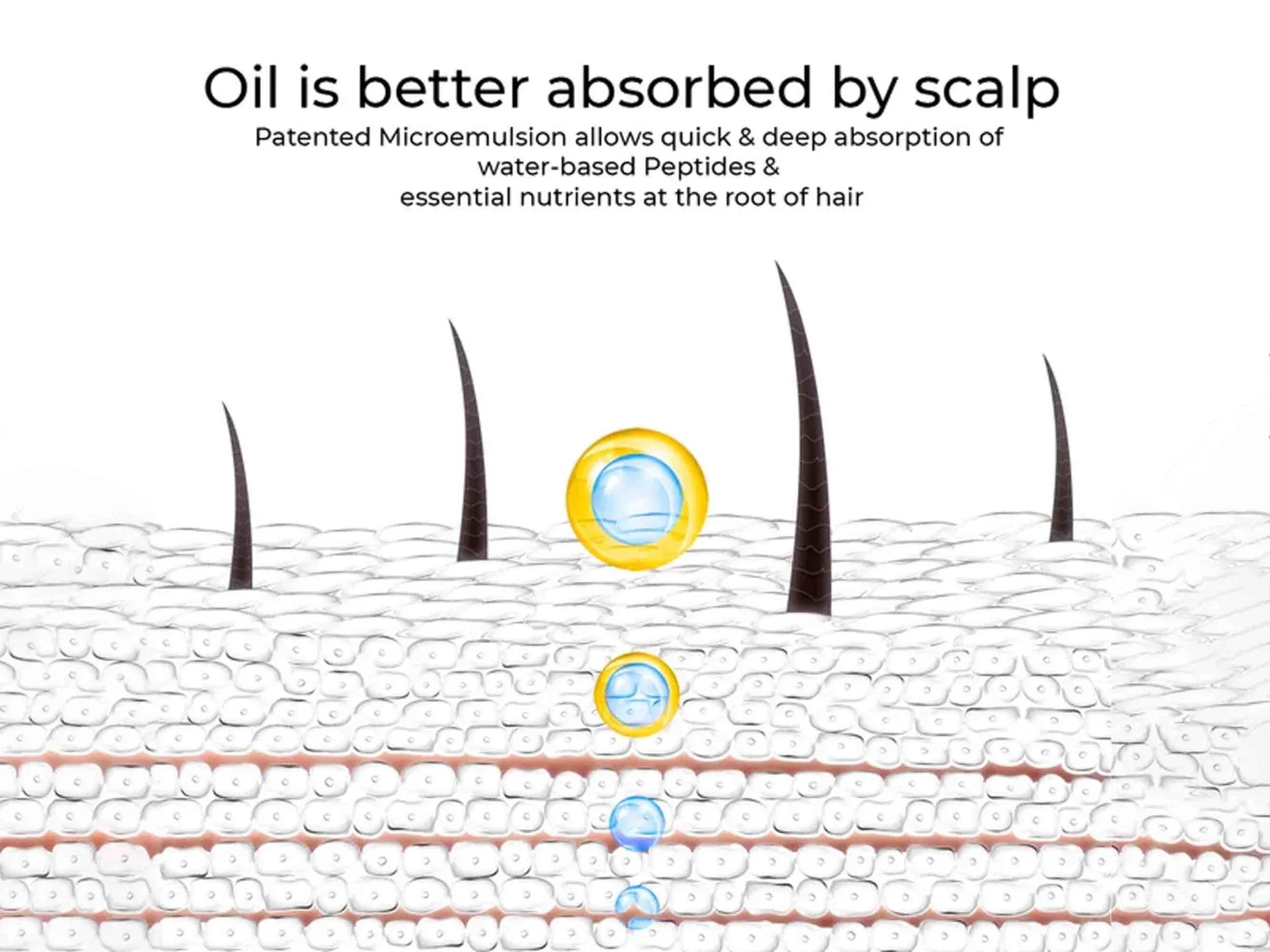 Root Deep Hair Retention Therapy Hydroil - Atomic Pharmacy